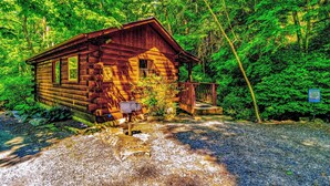 A rustic cabin with a porch, surrounded by dense forest.