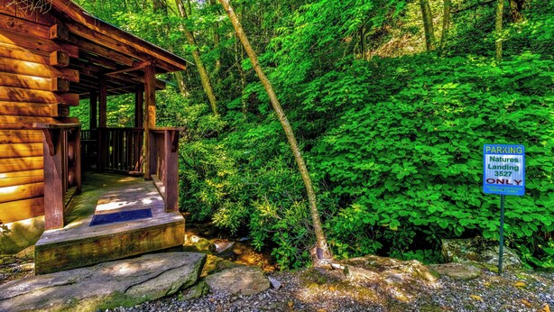 A wooden cabin with a porch, surrounded by dense green foliage and a sign indicating 'Natures Landing 3527 ONLY' parking.
