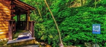 Nature's Landing Cabin at Panther Creek