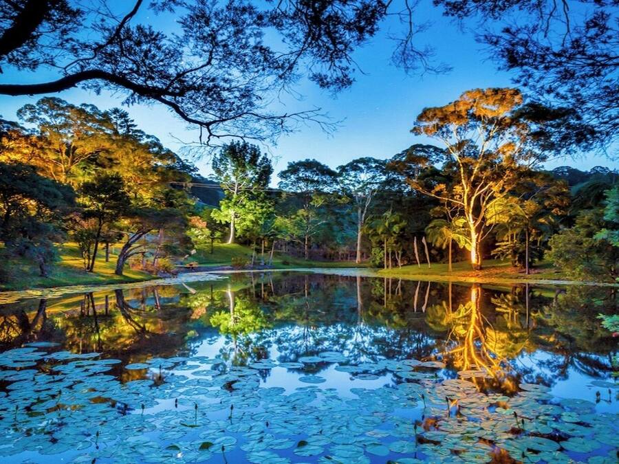 Lake view