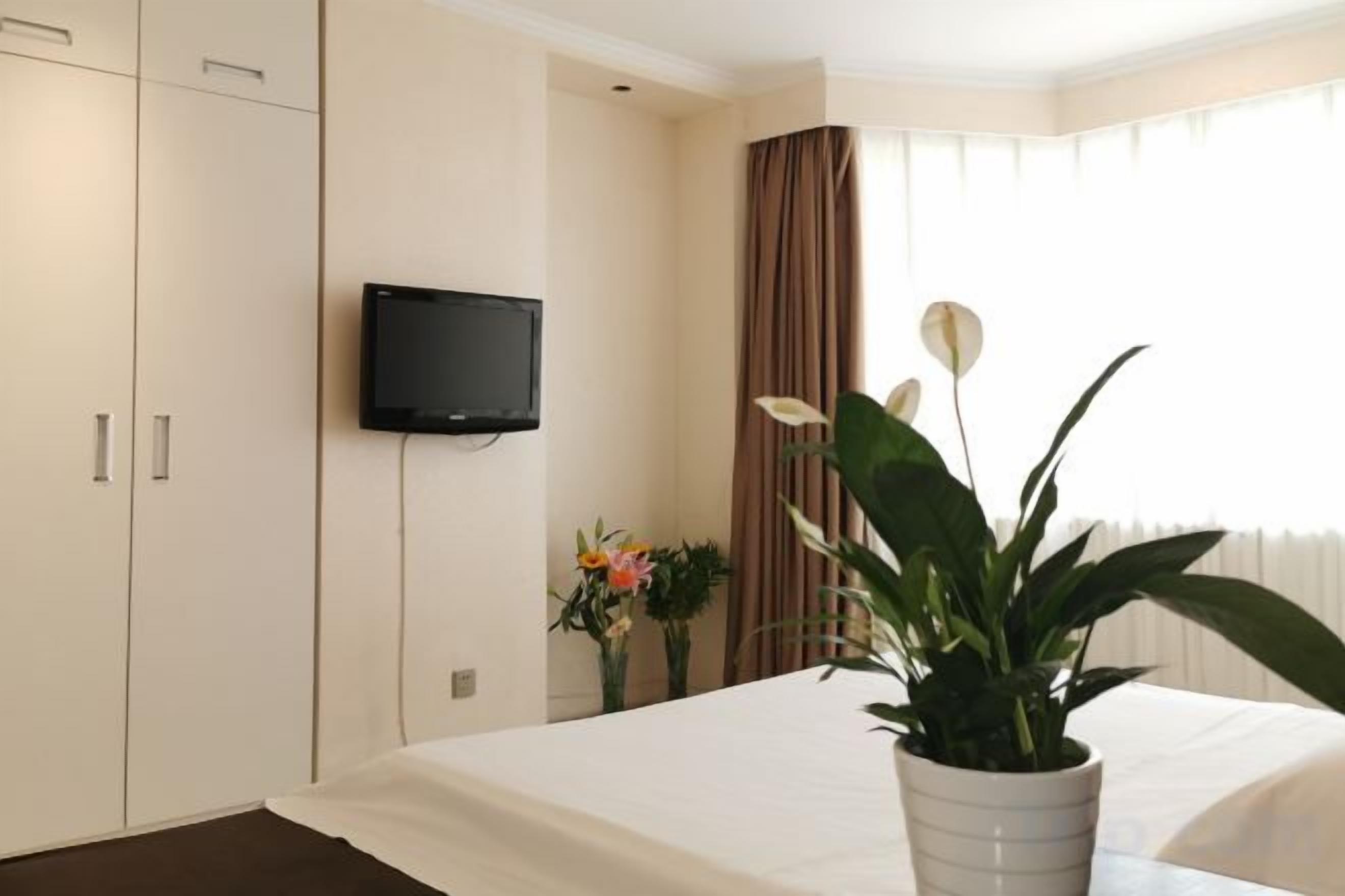 A hotel room with a bed, a TV mounted on the wall, a potted plant, and a window with curtains.