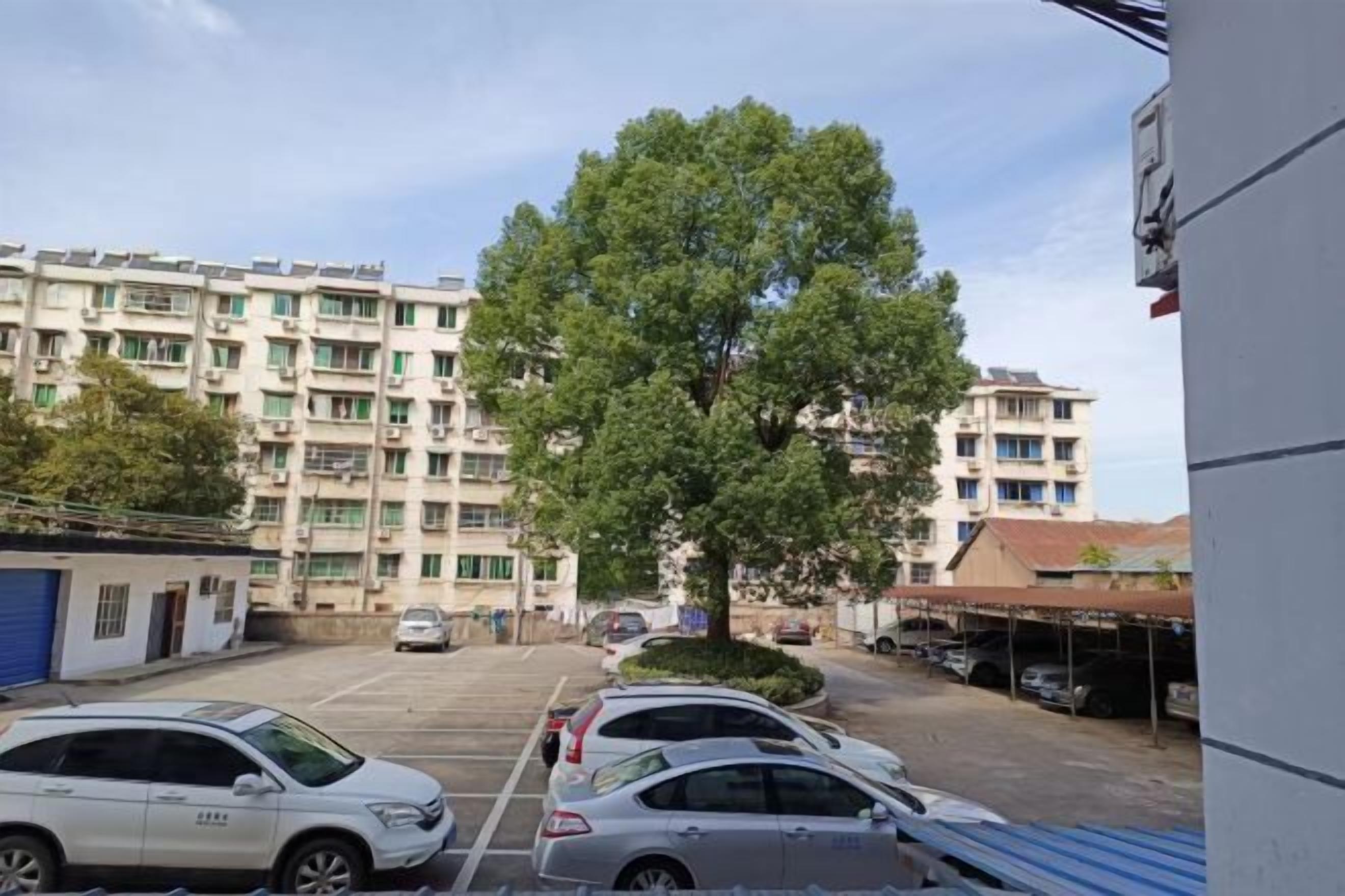 المنطقة المحيطة بالمنشأة