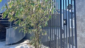 A modern building with a metal gate, a small tree, and a concrete structure.