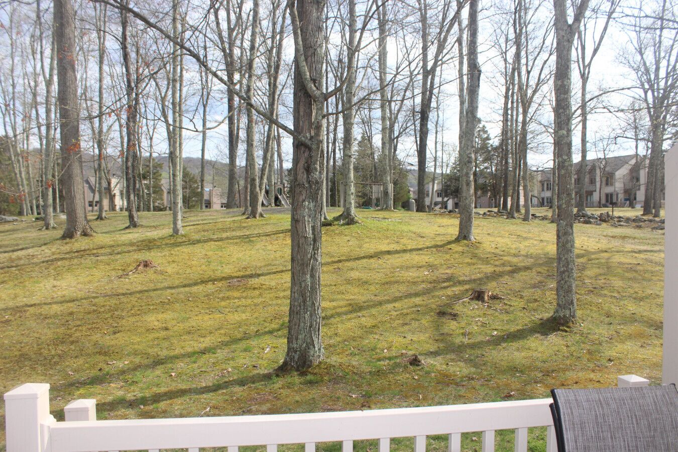 A grassy area with trees and a white fence.