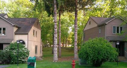 Poconos Hideaway - 115