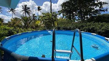 An outdoor swimming pool with a ladder, surrounded by lush greenery and palm trees.