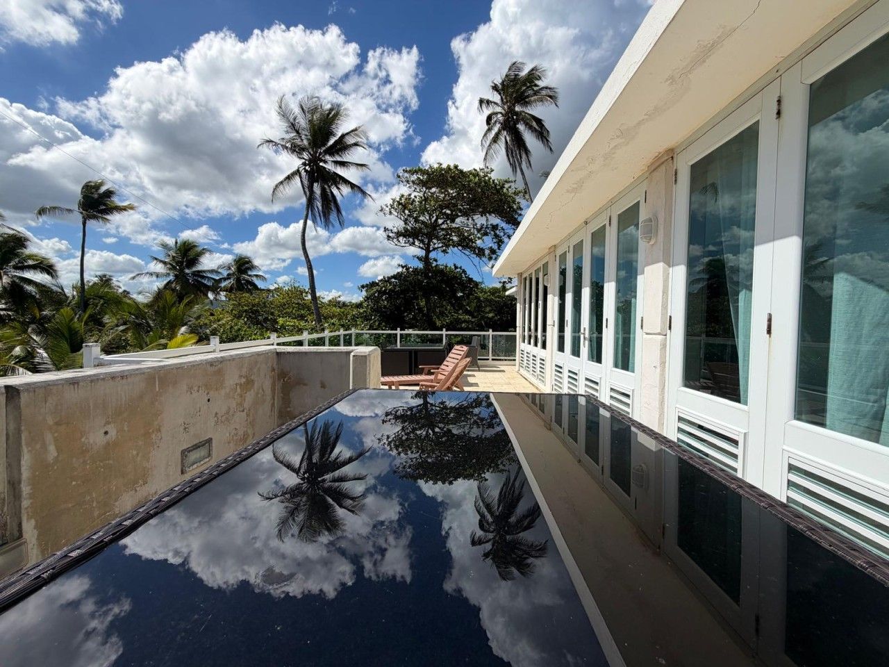 A rooftop infinity pool with a clear view of palm trees and a blue sky.