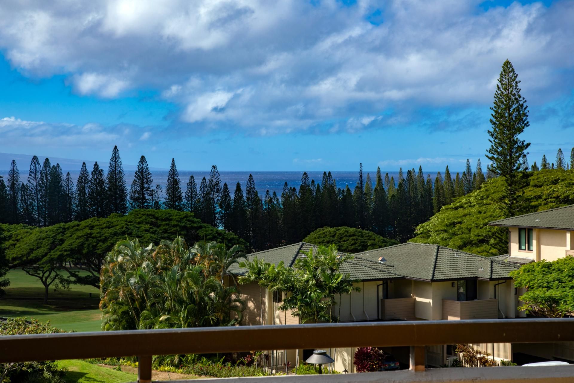 A residential area with houses, lush greenery, and a view of the ocean.