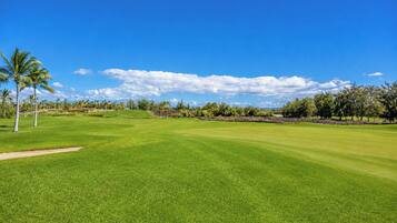 Un campo de golf con cielo despejado, palmeras y un césped bien cuidado.