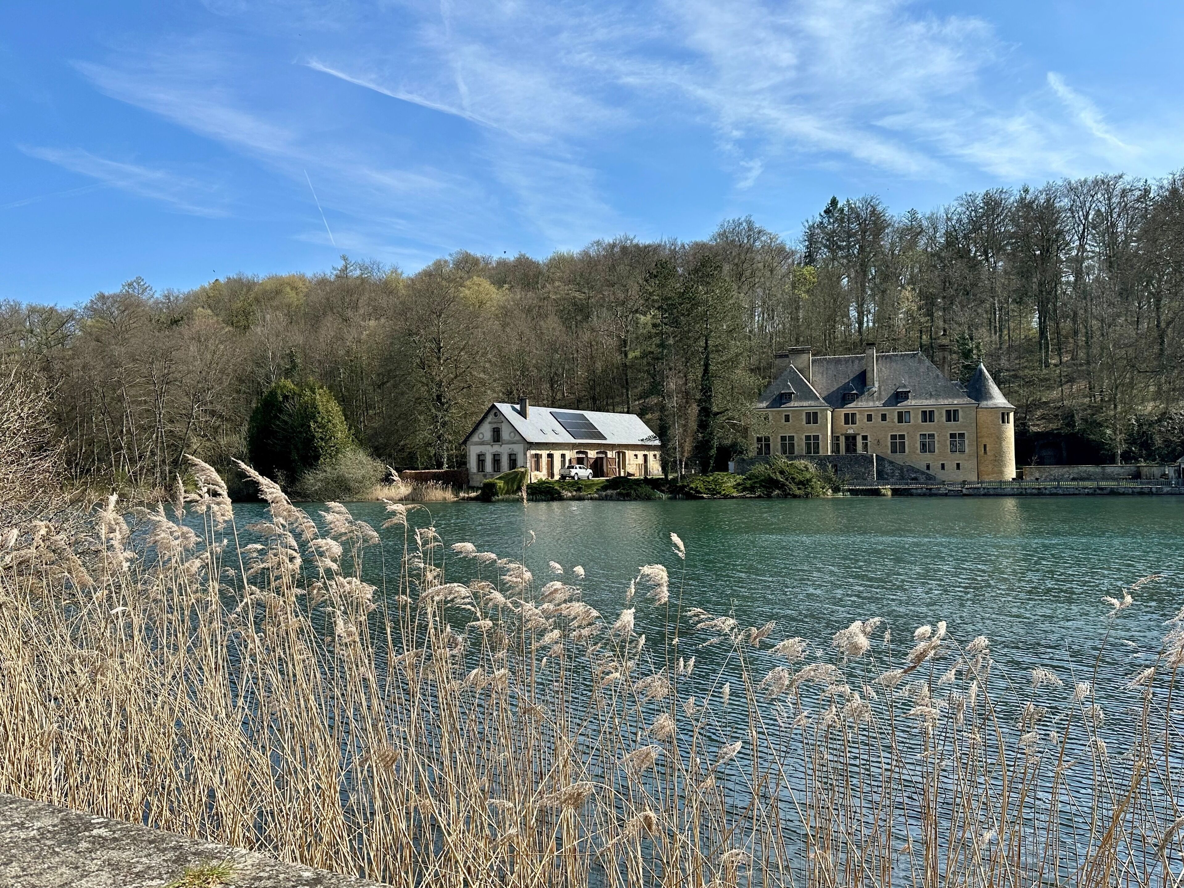 A lakeside property with a large house and a smaller building, surrounded by trees and reeds.
