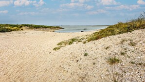 Una spiaggia sabbiosa con scarsa vegetazione e cielo sereno.