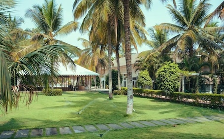 Jardín. Gubbi Goodu