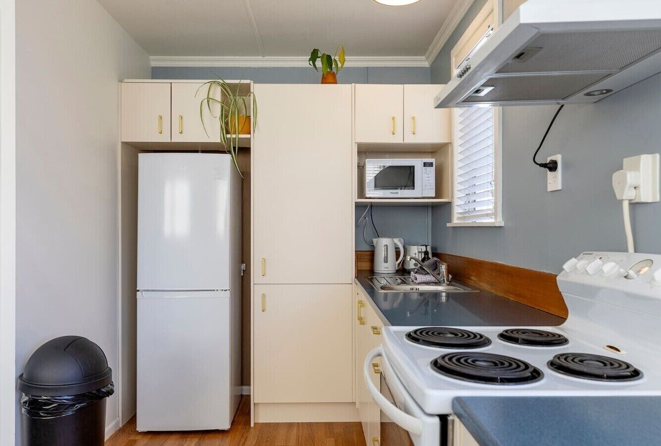 Fridge, microwave, oven, coffee/tea maker