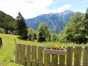 Property grounds - Chalet in Obervellach in Carinthia (Obervellach)