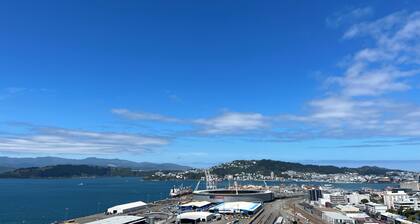 Modern secure apartment walking distance to Parliament and Wellington City