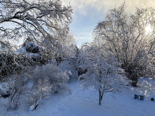 Vakantiehuis in Bergen op Zoom met tuin
