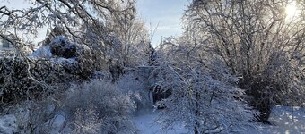 Holiday Home in Bergen op Zoom with Garden