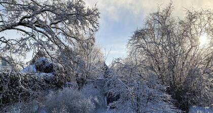 Ferienhaus in Bergen op Zoom mit Garten