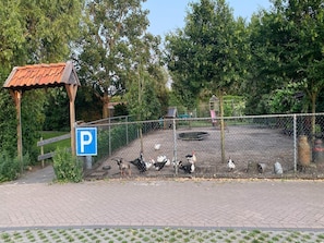 Property grounds - Gypsy Caravan in Weideblick with Farm Animals (Bergen op Zoom)