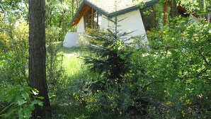 A small, white cabin with a sloped roof surrounded by dense greenery and trees.