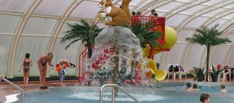 Villa forestière à Herperduin avec jacuzzi