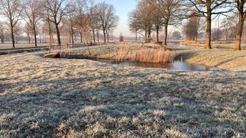 A frost-covered landscape with a small pond, trees, and a clear sky.