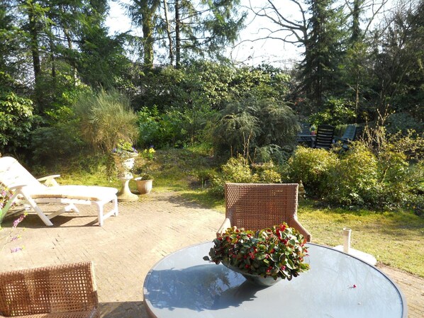 Terraço/pátio