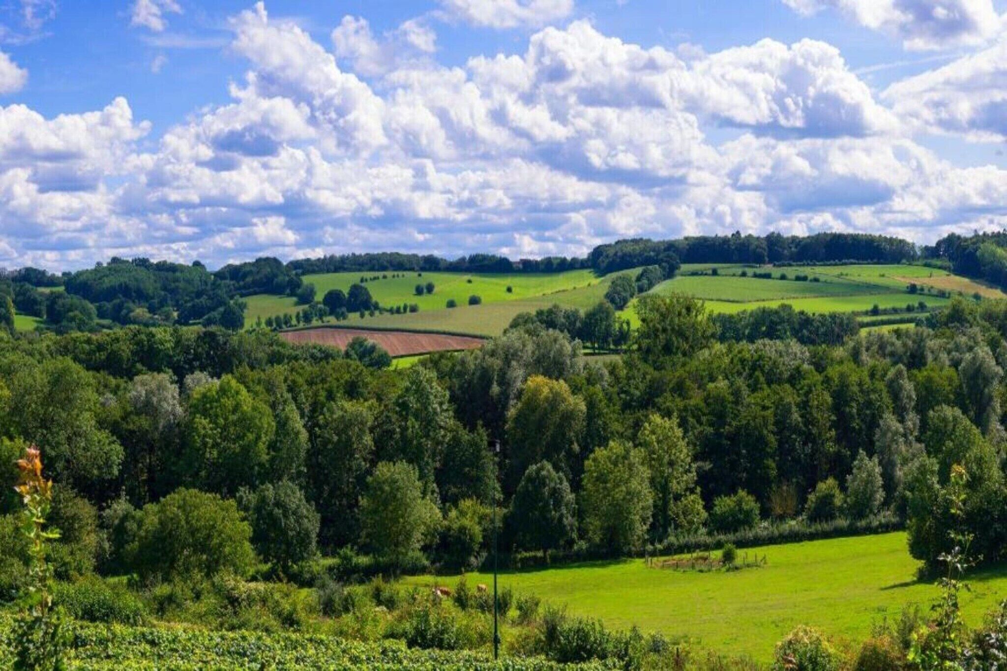 A rural landscape with rolling hills, dense forests, and open fields under a partly cloudy sky.