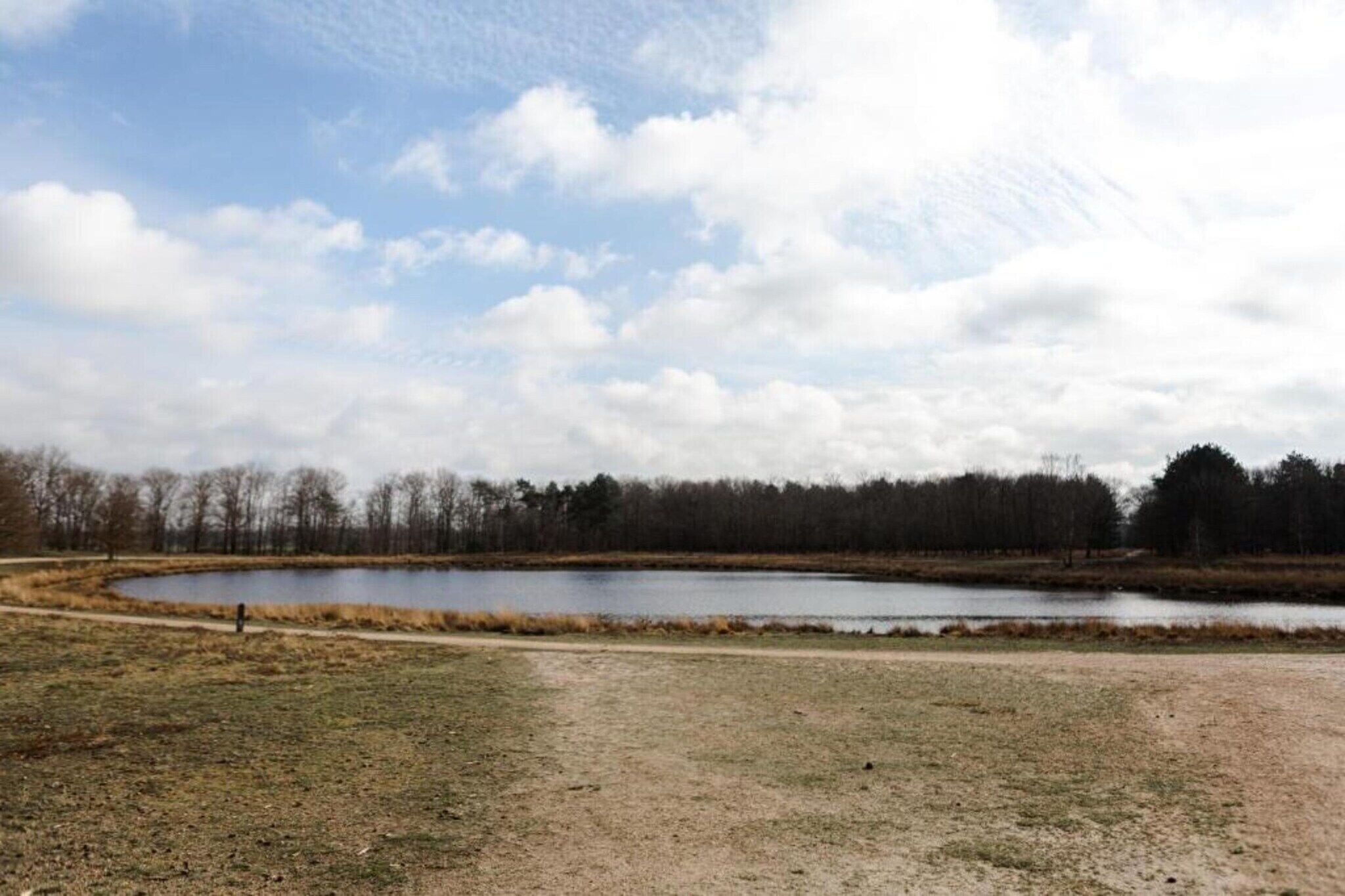A natural landscape with a pond, a dirt path, and a forest in the background.