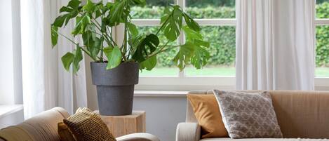 Smart-TV, Kamin, DVD-Player, Tischtennisplatte