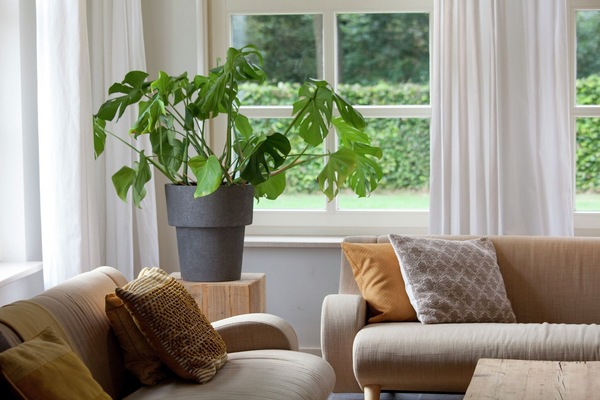 TV connectée, cheminée, lecteur de DVD, table de tennis de table