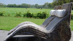 A wicker lounge chair with cushions, positioned on a paved area with a grassy field and trees in the background. - Country house next to a nature reserve (Leende)