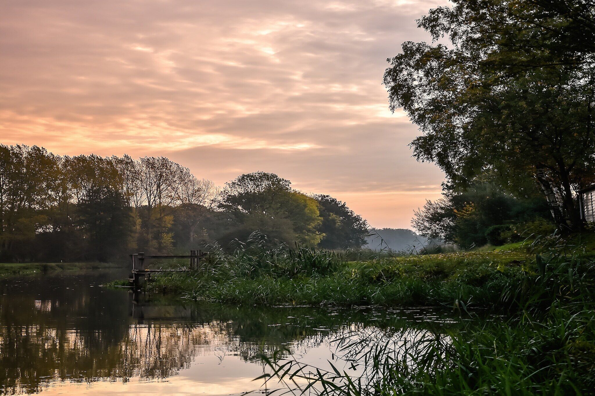 A calm river with a wooden bridge, surrounded by dense trees and greenery.