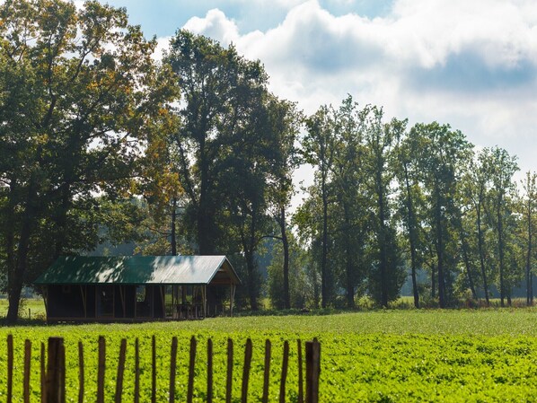 Una cabaña de madera rústica con techo verde, rodeada por un campo verde exuberante y árboles altos.
