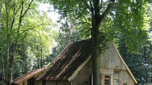A rustic wooden building with a sloped roof, surrounded by trees.