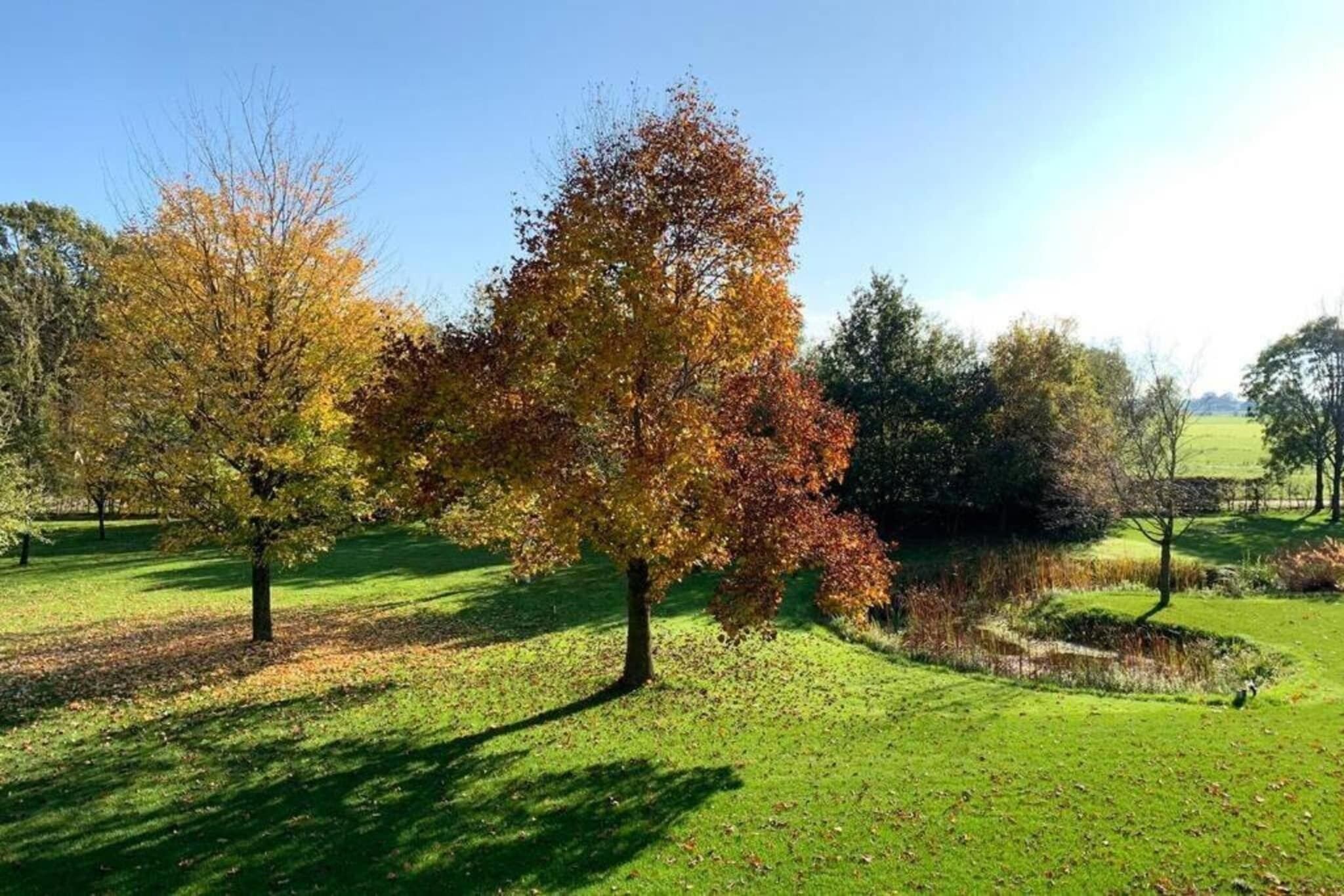 Un parque con diversas especies de árboles, incluyendo uno con hojas de colores otoñales, una zona cubierta de césped y un pequeño estanque.