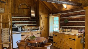 A rustic cabin-style kitchen with wooden walls, a stove, a microwave, and a sink. There is a dining table with chairs and a ladder leaning against the wall. - Holiday Home with Garden in Den Ham (Den ham)