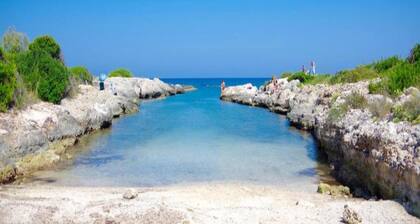 Chalet in Netherlands near Forest & Water