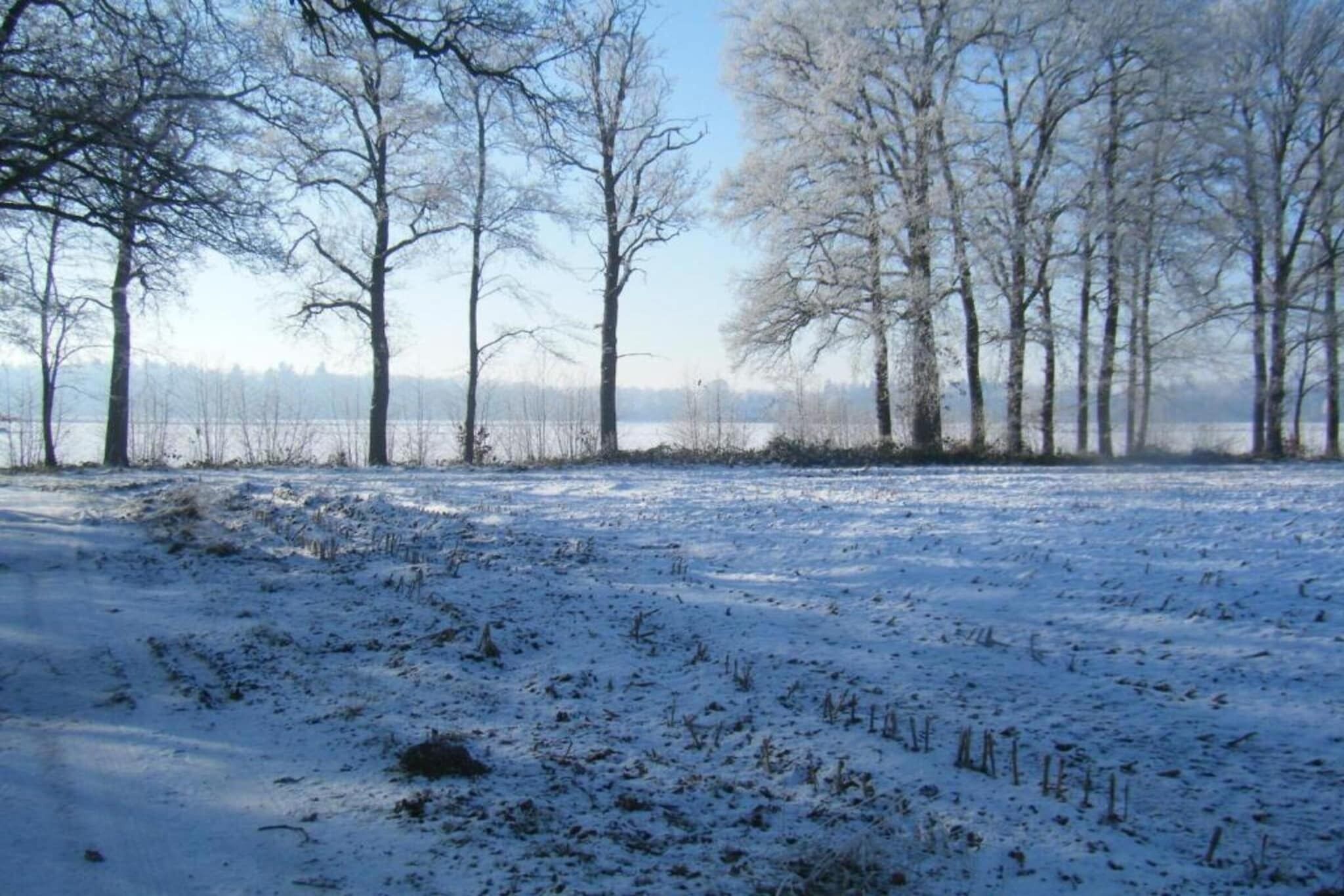 Un paysage enneigé, avec des arbres sans feuilles et un ciel dégagé.