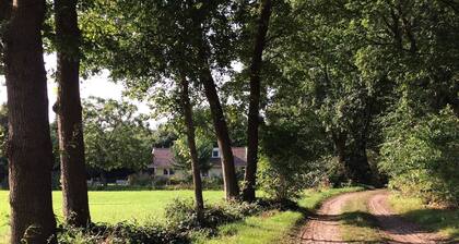 Family residence with large garden