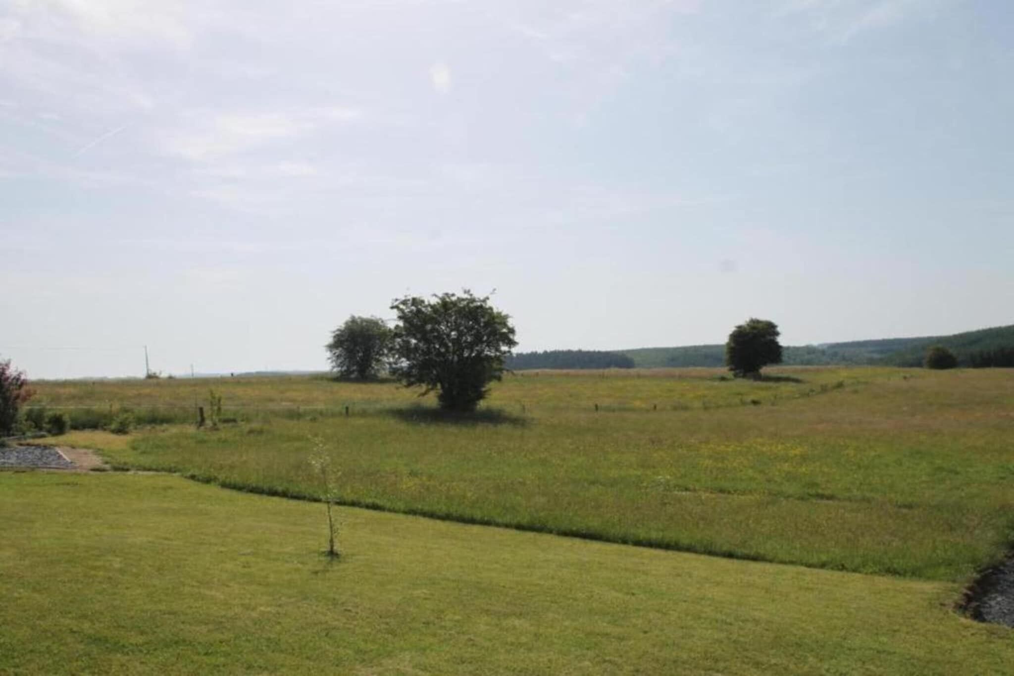 Ein grasbewachsenes Feld mit einigen Bäumen und einem klaren Himmel.