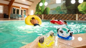 An indoor swimming pool with clear water, a mural of trees on the wall, and a wooden deck with poolside chairs. - Wellness Villa by the Weerribben (Paasloo)