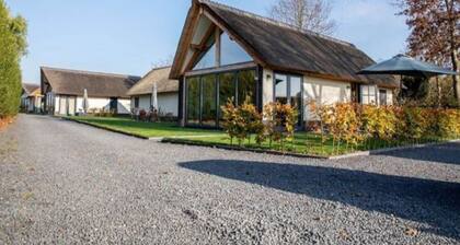 Modern cottage surrounded by nature