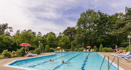 Wellness Forest Retreat