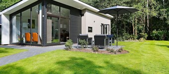 Wellness Forest Retreat