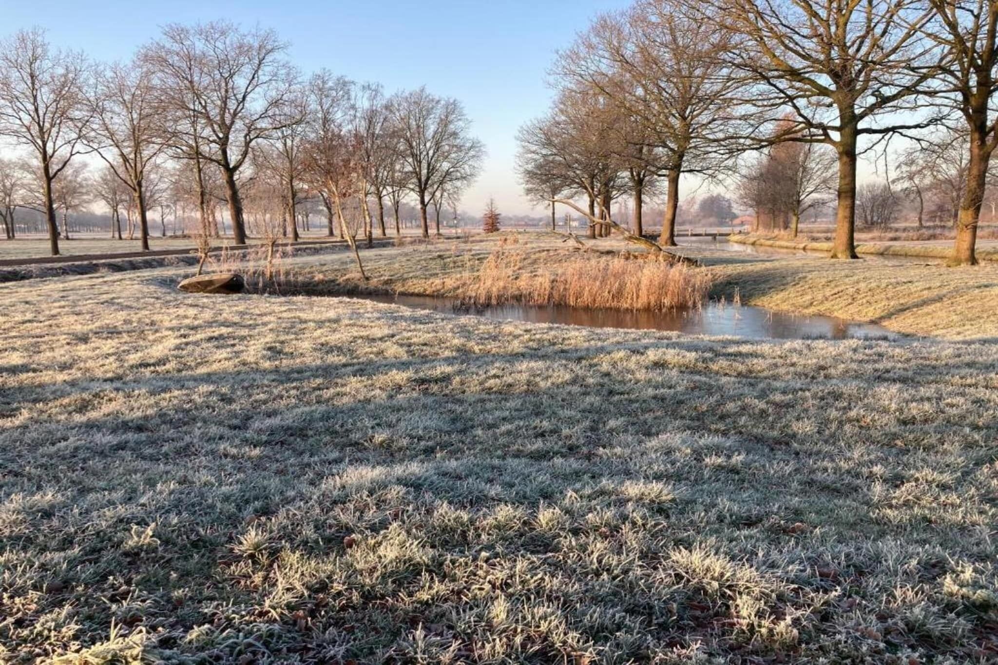 Un champ recouvert de givre, avec un petit plan d’eau et des arbres sans feuilles.