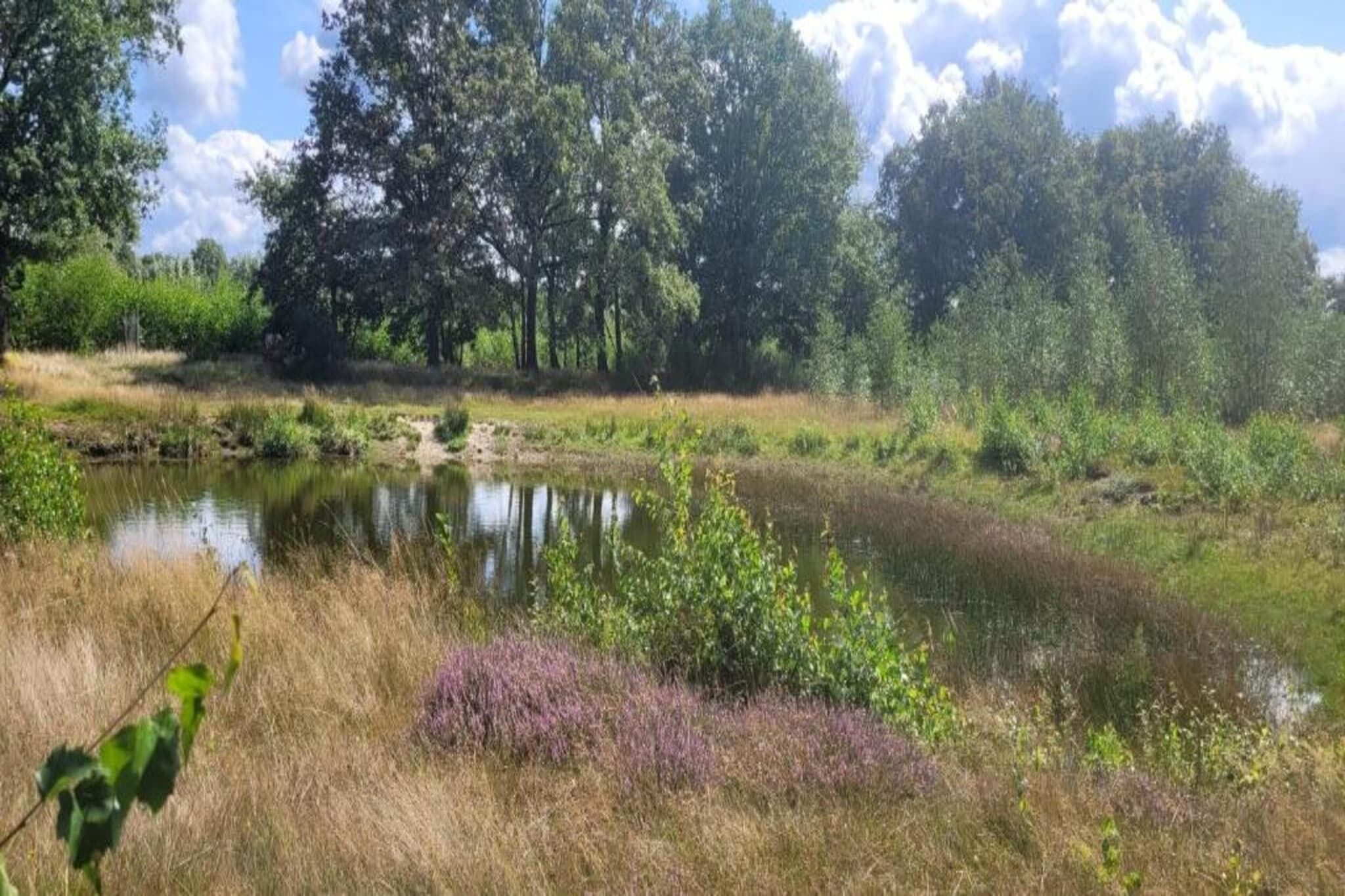 Region [summer] (>5 km)