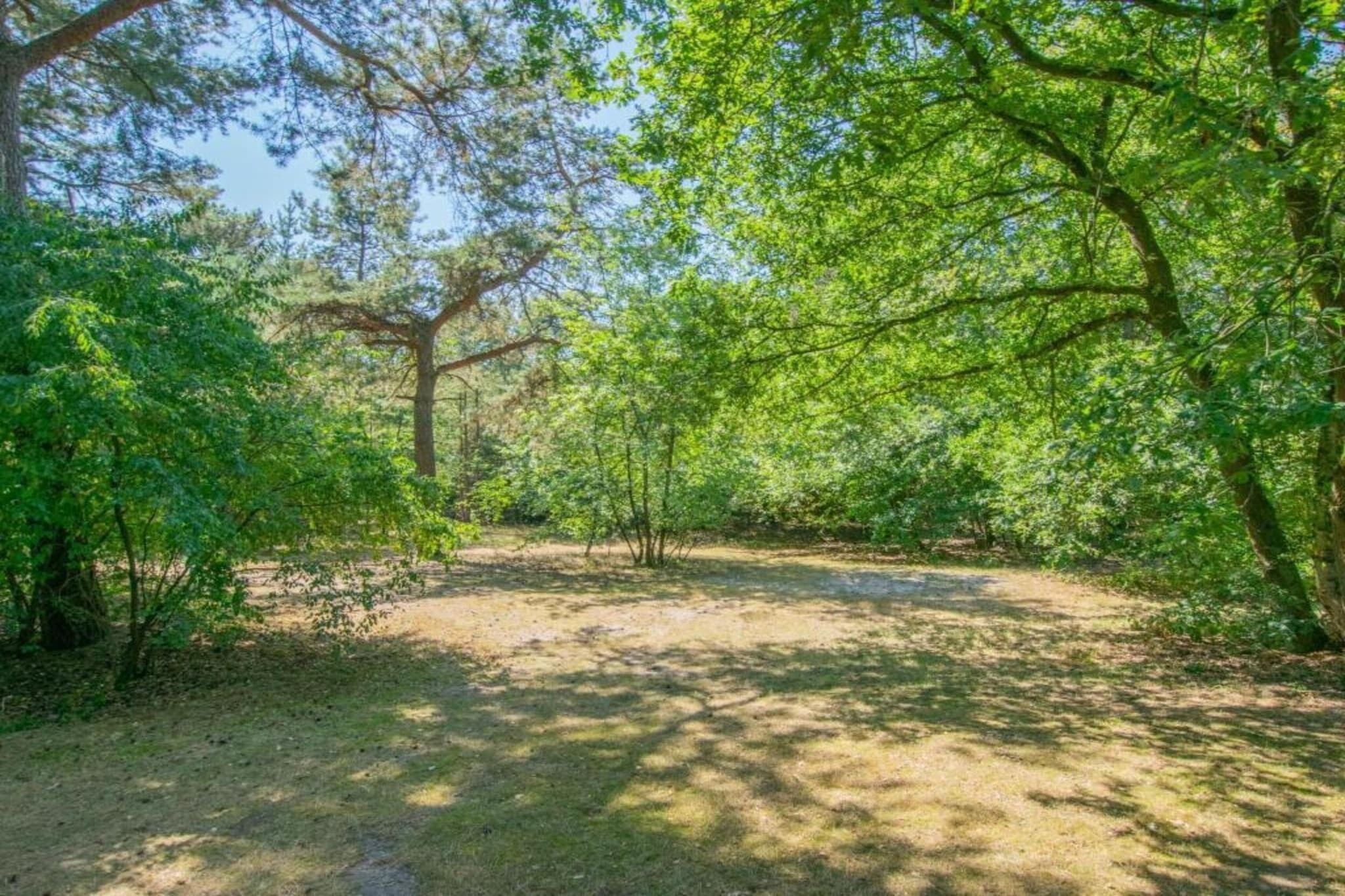 Un espace naturel et boisé, avec un sentier de terre qui le traverse.