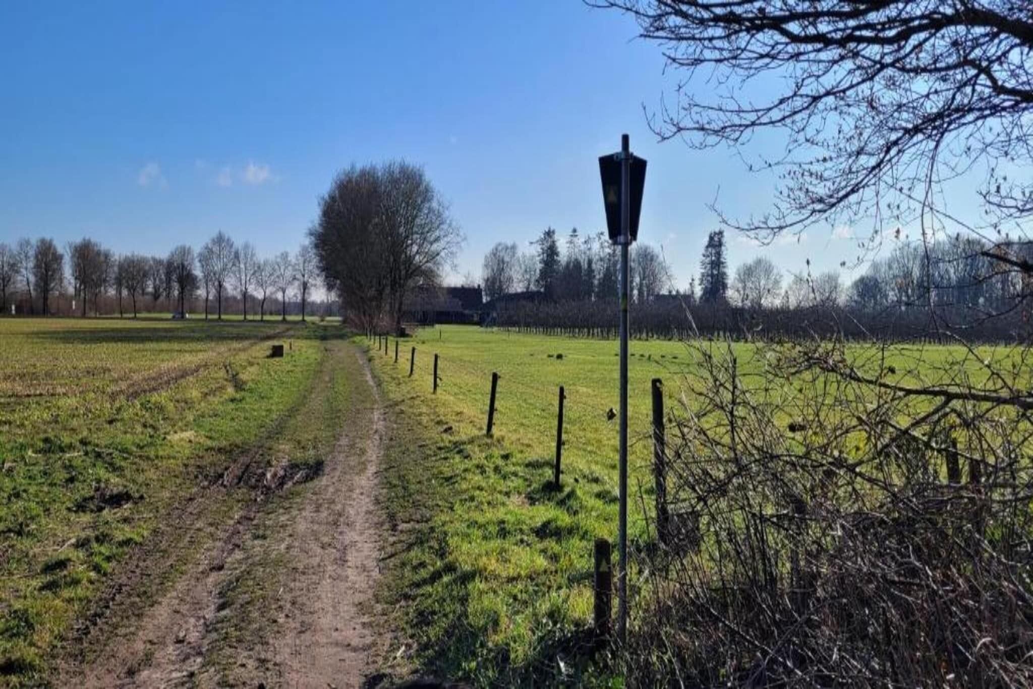Een landelijk landschap met een onverharde weg, een hek en een lantaarnpaal.