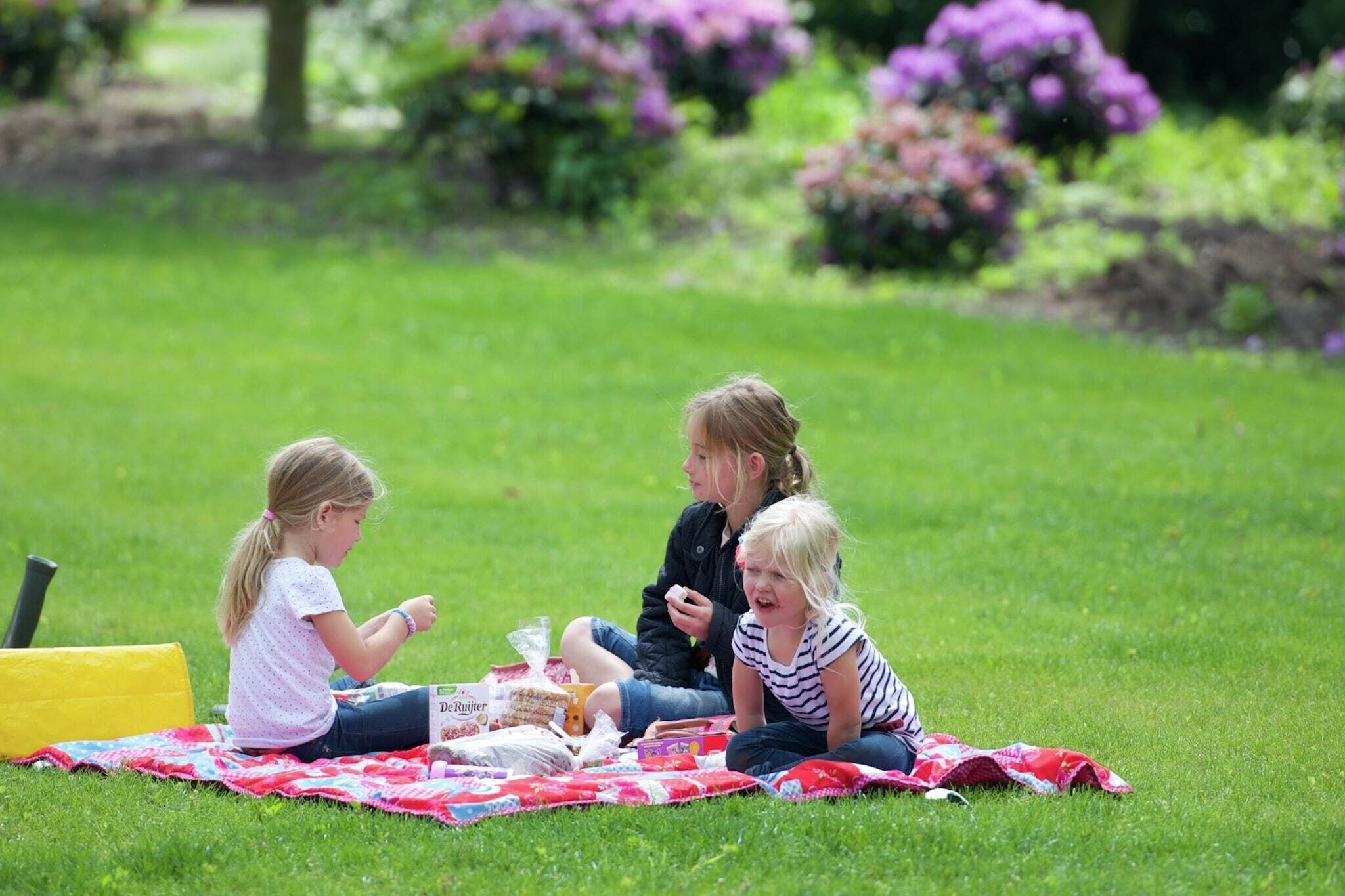 Drie kinderen zitten op een deken in een grasveld, met bloemen op de achtergrond.